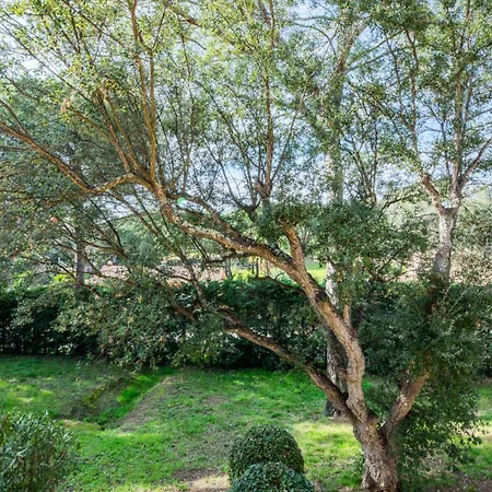 דירה Saint-raphael Valescure - Maeva - Avec Terrasse 4 Personnes - Selection - Super Mae-7091 Saint-Raphaël